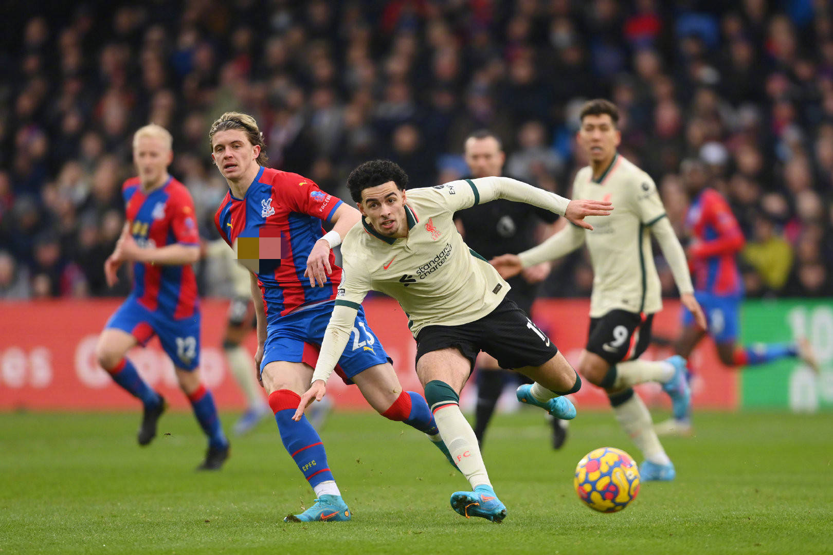 特点成为许 特点成为许